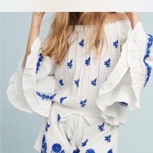 Anthropologie White and Blue Embroidered Shorts